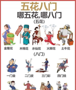 家里阳光不足怎么养花，选对植物种类，掌握养护技巧