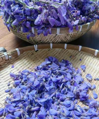 家里阳光不足怎么养花，选对植物种类，掌握养护技巧