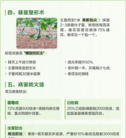 家里阳光不足怎么养花，选对植物种类，掌握养护技巧