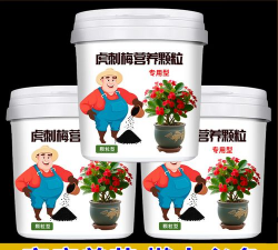 家里阳光不足怎么养花，选对植物种类，掌握养护技巧