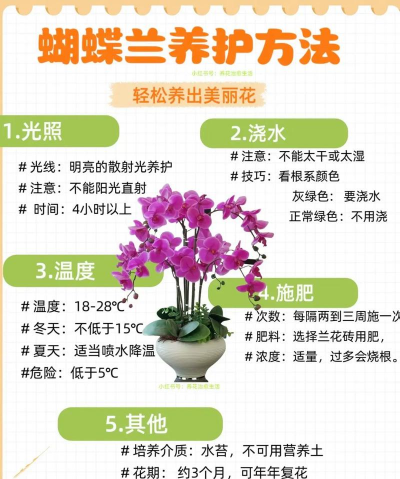 家里阳光不足怎么养花，选对植物种类，掌握养护技巧
