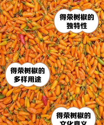 小众送妈妈的花有哪些花