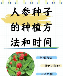 家里阳光不足怎么养花，选对植物种类，掌握养护技巧