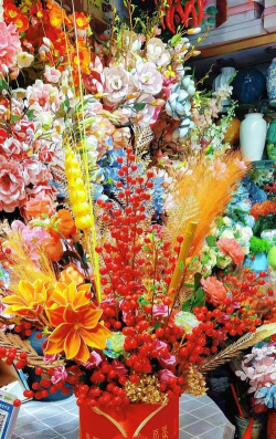 家里阳光不足怎么养花，选对植物种类，掌握养护技巧