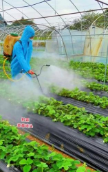 养花不好的人煞气多，养花常见问题，如何化解煞气