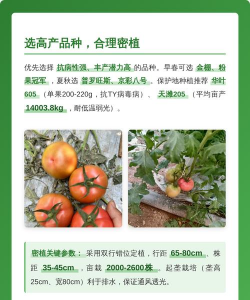 养花不好的人煞气多，养花常见问题，如何化解煞气