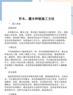懒人养花神器，轻松打理花草，告别繁琐养护