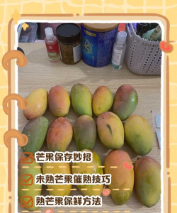 懒人养花神器，轻松打理花草，告别繁琐养护