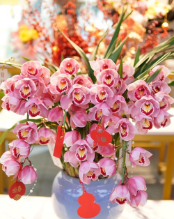 懒人养花神器，轻松打理花草，告别繁琐养护