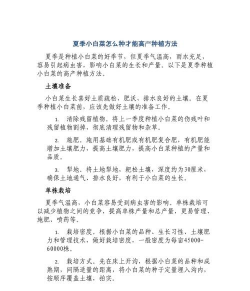 懒人养花神器，轻松打理花草，告别繁琐养护