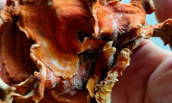 养花人社区，交流种植经验，分享养花乐趣