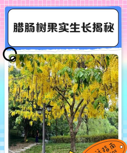 养花人社区，交流种植经验，分享养花乐趣