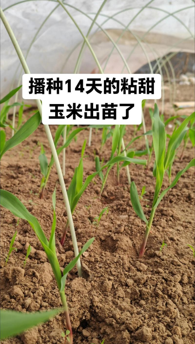 养花人社区，交流种植经验，分享养花乐趣