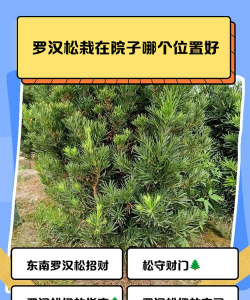 养花人社区，交流种植经验，分享养花乐趣