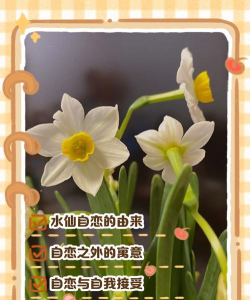 养花人社区，交流种植经验，分享养花乐趣