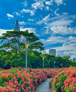 养花人社区，交流种植经验，分享养花乐趣