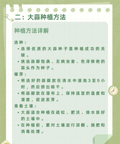 陶粒怎样养花，提升透气性，避免积水烂根