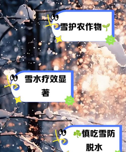 陶粒怎样养花，提升透气性，避免积水烂根