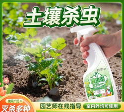 陶粒怎样养花，提升透气性，避免积水烂根