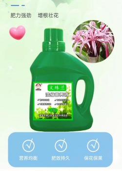 陶粒怎样养花，提升透气性，避免积水烂根