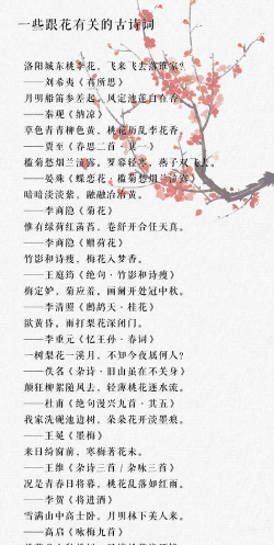 维生素b6养花，促进植物生长，改善土壤环境