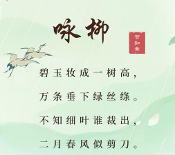 维生素b6养花，促进植物生长，改善土壤环境