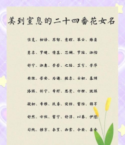 维生素b6养花，促进植物生长，改善土壤环境