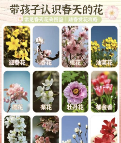 烧土养花，改善土壤，提升植物生长