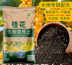 烧土养花，改善土壤，提升植物生长