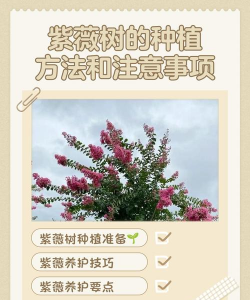 烧土养花，改善土壤，提升植物生长