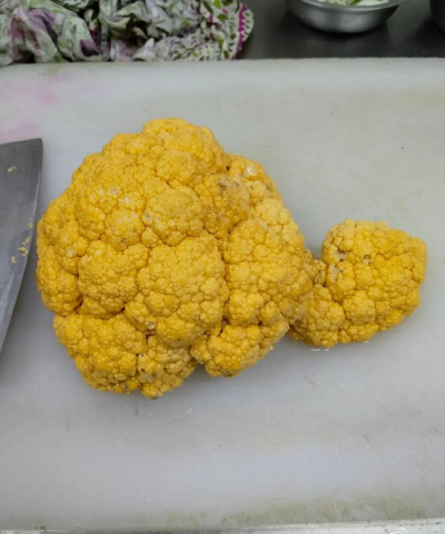 红虫室内养殖技术，掌握关键要点，实现稳定产出