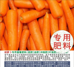 红虫室内养殖技术，掌握关键要点，实现稳定产出