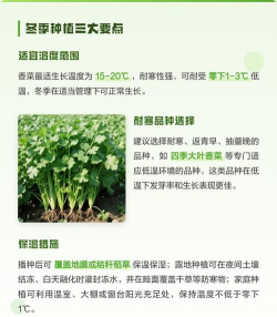 红虫室内养殖技术，掌握关键要点，实现稳定产出