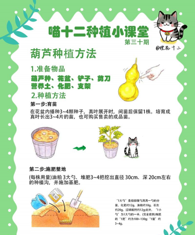 红虫室内养殖技术，掌握关键要点，实现稳定产出