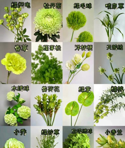 废油养花，家庭妙用，环保又省钱