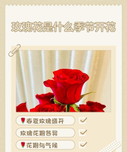 废油养花，家庭妙用，环保又省钱