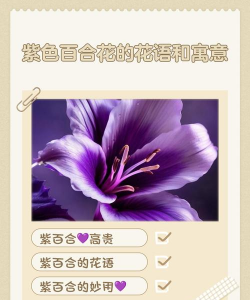 养花溪大厦，居住体验如何，周边配套怎样