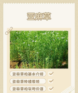 养花溪大厦，居住体验如何，周边配套怎样