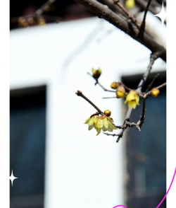 养花溪大厦，居住体验如何，周边配套怎样