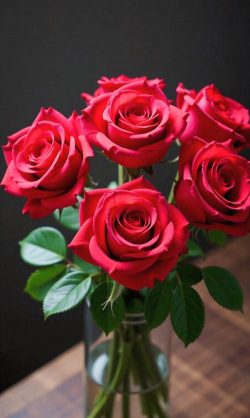 天门冬盆栽养殖方法，轻松上手，四季常绿