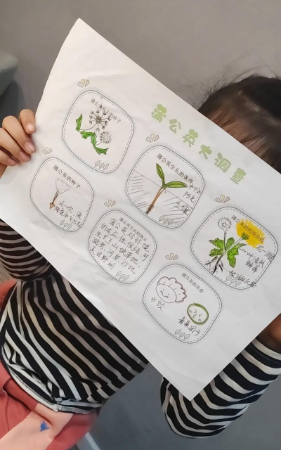 天门冬盆栽养殖方法，轻松上手，四季常绿