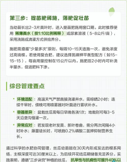 天门冬盆栽养殖方法，轻松上手，四季常绿