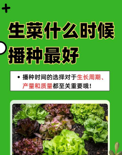 生态土鸡养殖技术，掌握关键要点，提升养殖效益