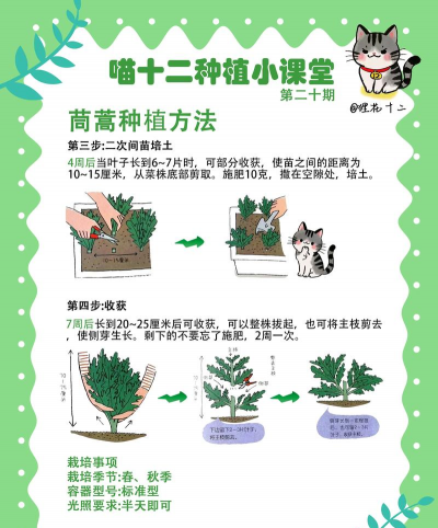 昆明花卉批发，货源渠道多，价格优势大