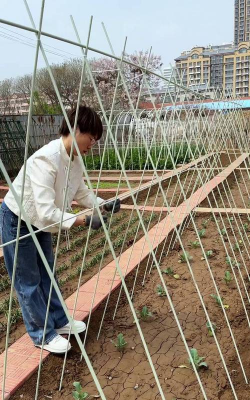 昆明花卉批发，货源渠道多，价格优势大