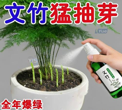 昆明花卉批发，货源渠道多，价格优势大