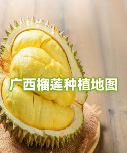 用水养花，简单易学，新手也能轻松上手