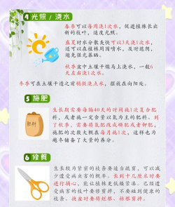 用水养花，简单易学，新手也能轻松上手