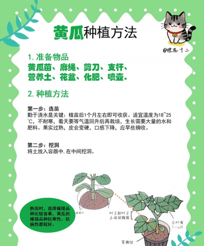 广西怡养花园大酒店，住宿体验分享，真实感受告诉你