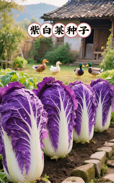 广西怡养花园大酒店，住宿体验分享，真实感受告诉你